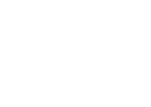 FRM_Logo_Framework